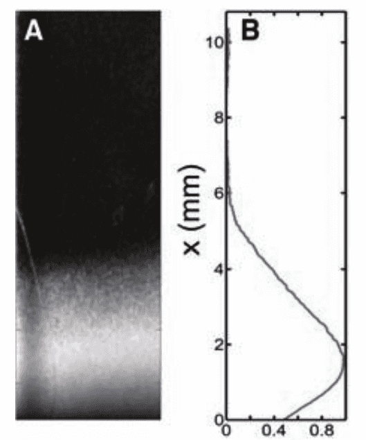 Linear density after diffusion from experiment.