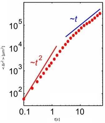 Mean square displacement in open space from experiment.